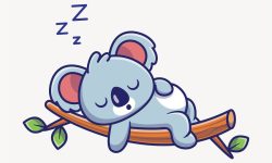 Clipart de coala dormindo, desenho animado de animal