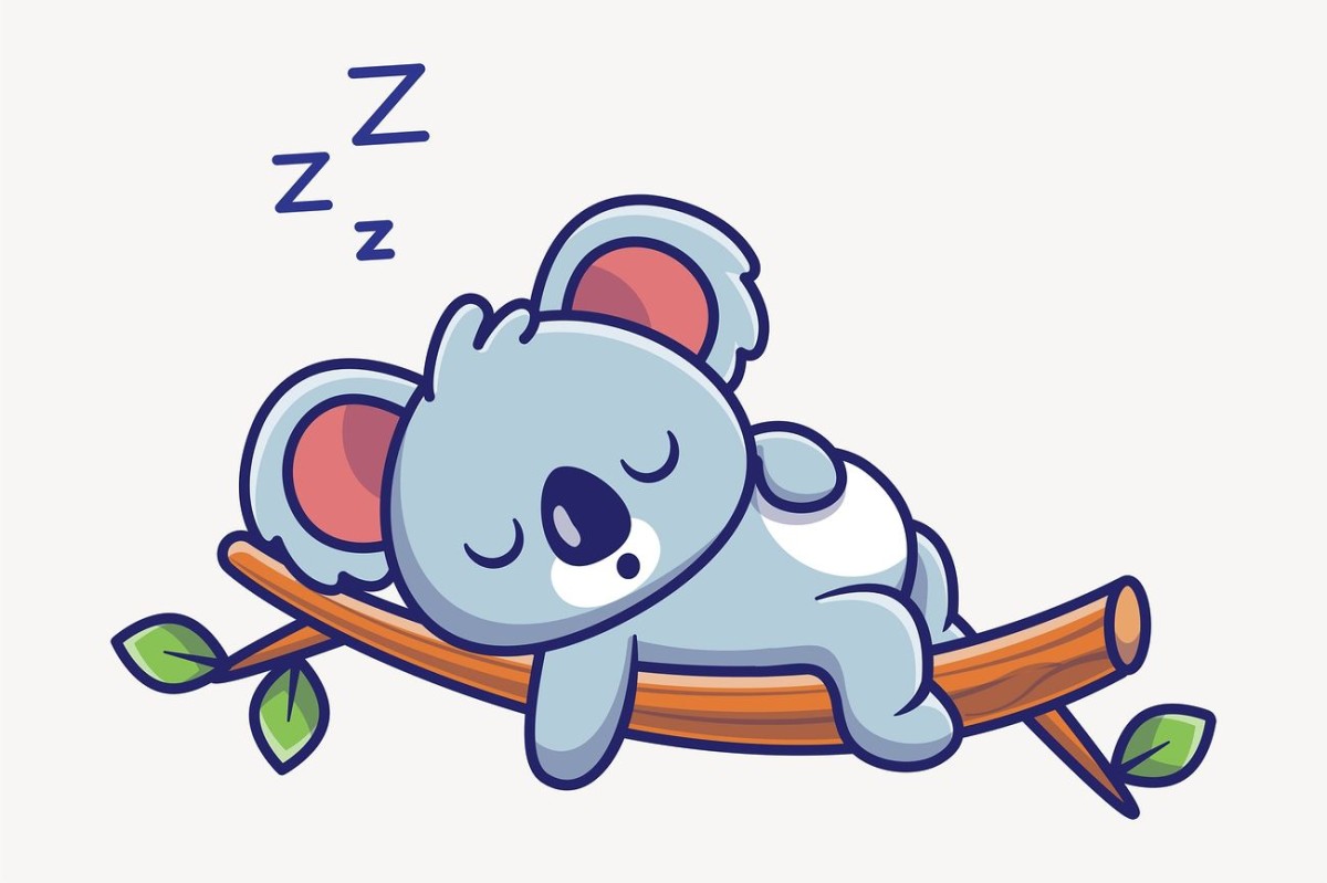 Clipart de koala endormi, dessin animé animal