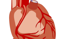 Cuore adesivo in formato PNG, medico